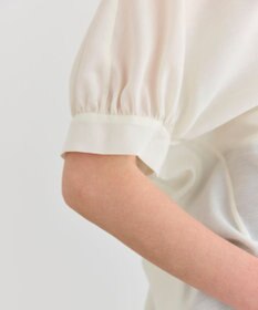 BEIGE， 【洗える】AMARYLLIS / シアーパフオーバーサイズブラウス