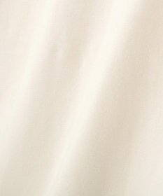 AMERICAN HOLIC NURTURING 刺繍ロゴロンT