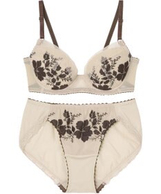 Wing WEB限定　ブラ＆ショーツセット　3/4カップブラ　ウイング／ワコール　CB3710