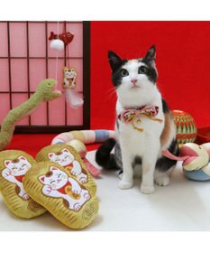 PET PARADISE ペットパラダイス 猫 小判トイ  和まねき猫