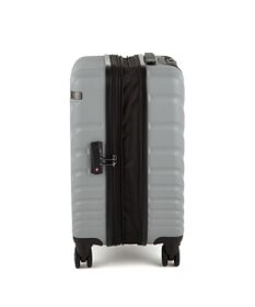 ACE BAGS & LUGGAGE ACE オーバル2 スーツケース 機内持ち込み 拡張機能 36L/43L 05911 エース