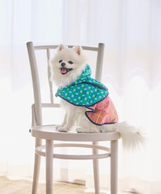 COQ PLAID ARGYLE ドッグポンチョ レインコート