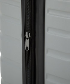 ACE BAGS & LUGGAGE ACE オーバル2 スーツケース 機内持ち込み 拡張機能 36L/43L 05911 エース