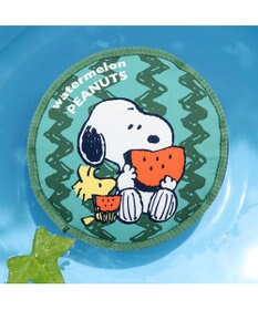 PET PARADISE スヌーピー  スイカ フロートトイ