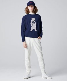 PW CIRCULUS 【MEN】【洗える】ベアスタンドモチーフ ラグランスリーブ クルーネック ニット