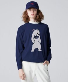PW CIRCULUS 【MEN】【洗える】ベアスタンドモチーフ ラグランスリーブ クルーネック ニット