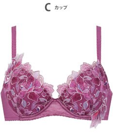 Wing ブラジャー Wing Lesiage ふっくら、まる胸メイク 背中にやさしくフィット 【2860シリーズ】 パッド有 ブラ PB2860 ウイング／ワコール