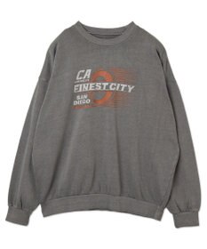 WEGO 【ユニセックス着用ITEM】ピグメントグラフィックプルオーバー