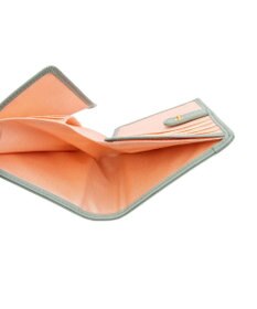 LANVIN en Bleu アーリ 財布機能付きカードケース