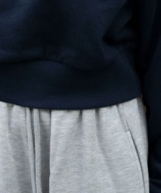 WEGO グラフィックショートプルパーカー