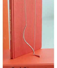 AMERICAN HOLIC ハーフラインスライドネックレス