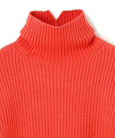 BEIGE， 【洗える】BERTAINA /  配色リンキングタートルネックニット