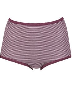 Wing ショーツ　【デイリーフィット】　ボーダー柄　はきこみ丈ふかめ　ウイング／ワコール　EC3620