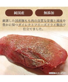 PET PARADISE プレミアムフード フリーズドライ 豚もも肉 20g