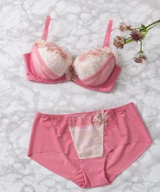 Wing Wing Lesiage　【2720シリーズ】ブラジャー　シアー感のあるラグジュアリーなデザイン　ウイング／ワコール　PB2720