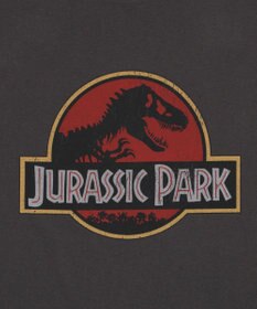 WEGO 【ユニセックス着用ITEM/SMLサイズ展開】JURASSIC　PARKグラフィックT（S）