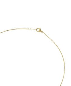 Green Parks 【ステンレス】Ｙ字２連ネックレス