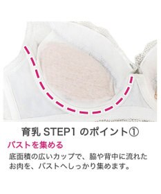 BRADELIS New York 【BRADELIS New York / 育乳補整ブラ・STEP1 集める】ウェンディステップ1ブラ24A2 ブラデリス ブラジャー 補正
