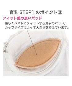BRADELIS New York 【BRADELIS New York / 育乳補整ブラ・STEP1 集める】ウェンディステップ1ブラ24A2 ブラデリス ブラジャー 補正