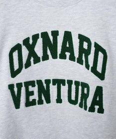 WEGO ヘビーウエイトサガラグラフィックプルオーバー