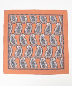 JOSEPH ABBOUD 【イタリア製】ビックペイズリーパターンチーフ