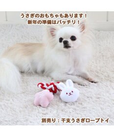 PET PARADISE 犬服 卯 犬 猫 帽子 ウサギ 【小型犬】 ピンク ホワイト