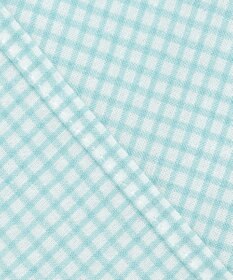 J.PRESS LADIES 【洗える】SHEER ギンガム シャツ ブラウス