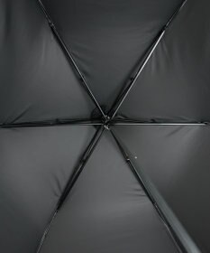 AURORA 【WEB限定】 パール晴雨兼用傘（折りたたみ傘）