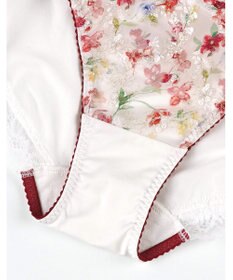 Wing ショーツ Wing Lesiage PB2120とペア 【2120シリーズ】 はきこみ丈あさめ PF2120 ウイング／ワコール