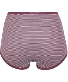 Wing ショーツ　【デイリーフィット】　ボーダー柄　はきこみ丈ふかめ　ウイング／ワコール　EC3620