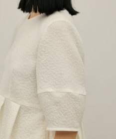 GRACE CONTINENTAL オーガンジージャガードトップ