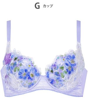  ルジェ 【背中すっきり脇高ブラ】 ブラジャー 上胸ふっくら 脇すっきり 脇から背中のくいこみを軽減 レディース BCA740 /ワコール