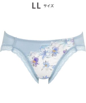  ショーツ 【ハグするブラ】 BRB498とペア はきこみ丈あさめ ナイロンベア天竺素材(バック) レディース PRA198 /ワコール