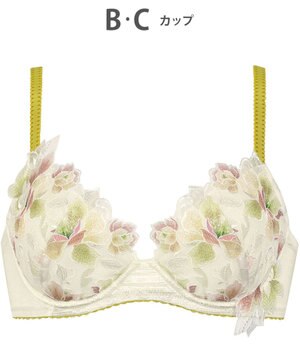  ブラジャー Wing Lesiage ふっくら、まる胸メイク 背中にやさしくフィット 【2860シリーズ】 パッド有 ブラ PB2860 ウイング／ワコール