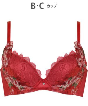  【ハグするブラ】 ブラジャー 体温を感知してカラダになじむ ハグシート 谷間メイク 脇高設計 ペアショーツあり ブラ レディース BRB488 /ワコール