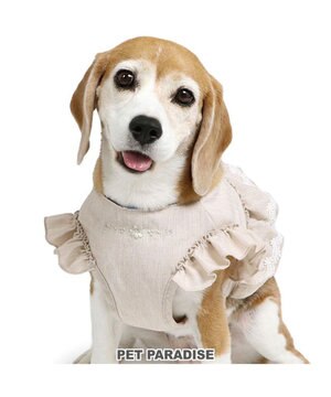  ペットパラダイス ベストハーネス 《フリル》 SM 中型犬