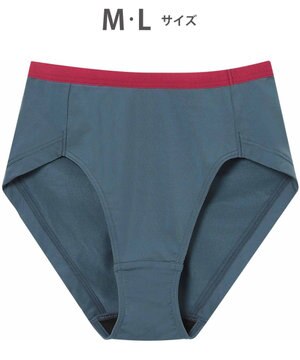  WEB限定 ショーツ 【ハグするブラ】 BMM700とペア はきこみ丈ふかめ 段差ができにくい(後ろ裾) レディース PMM600 /ワコール