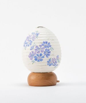  【あかり道】〈手書絵付〉チコリ ちょうちん ライト