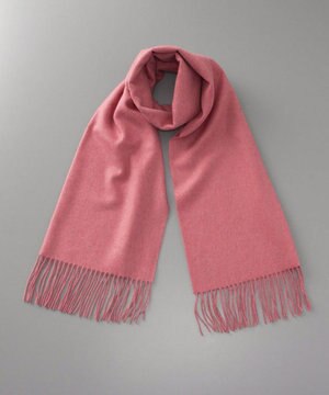  WEB限定 カシミヤ セミストール（幅50cm)