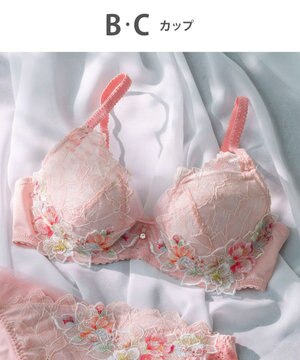  Wing Lesiage　【2820シリーズ】　ブラジャー　ふっくらまる胸メイク　ウイング／ワコール　PB2820