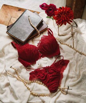  【エレガントコレクションPremium2312】単品ブラBCDカップ 【northerly】