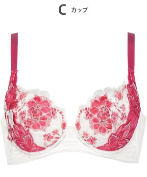  ルジェ 【背中すっきり脇高ブラ】 ブラジャー 上胸ふっくら 脇すっきり 脇から背中のくいこみを軽減 レディース BCA740 /ワコール