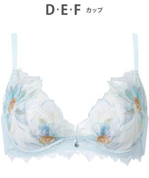  ブラジャー 【夏めくブラ】 メッシュ素材(カップ) レディース BXB485 /ワコール