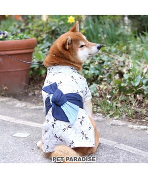 犬 服 浴衣 〔小型犬〕 トンボ柄 兵児帯 / PET PARADISE 