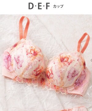  3/4カップブラ　【2700シリーズ】　しっかりめの着用感　奥行き感と透明感のあるデザイン　ウイング／ワコール　PB2700