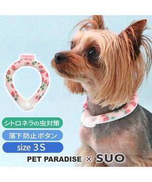  ペットパラダイス 28℃クールリング SUO 《いちご》 〔３Ｓ〕 小型犬