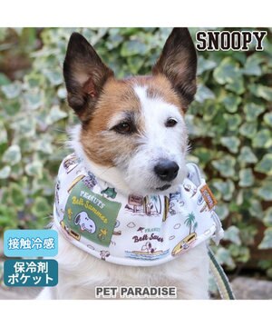  スヌーピー クール サーフ柄 スヌード 《保冷剤付き》【小型犬】