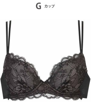  ブラジャー ふっくらとした谷間をメイク 軽やかなつけごこち Gカップまで対応 大きいサイズ レディース BXC408 /ワコール
