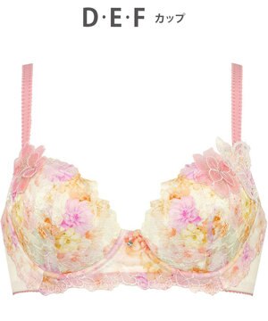  ブラジャー Wing Lesiage サイドすっきり しっかりフィット 【2900シリーズ】 ブラ PB2900 ウイング／ワコール