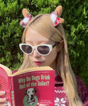  クリスマス2pミニピン